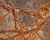 Мрамор Rain Forest Brown (слэб) 20мм